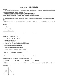 2022届广东省深圳市龙岗区大鹏新区华侨中学中考押题数学预测卷含解析