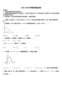 2022届海北市重点中学中考数学模拟试题含解析