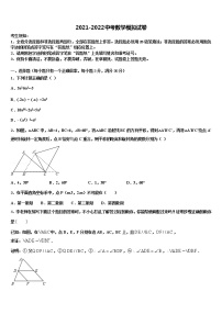 2022届海南省临高县临高中学中考一模数学试题含解析