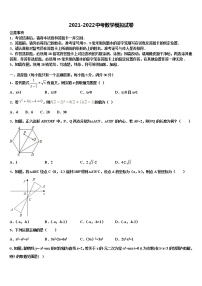 2022届安徽许镇重点名校中考数学全真模拟试题含解析