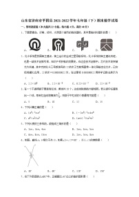 山东省济南市平阴县2021-2022学年七年级下学期期末数学试卷