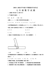 黑龙江省齐齐哈尔市拜泉县2021-2022学年七年级下学期期末考试数学试题