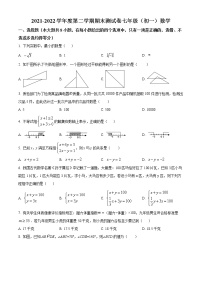 江西省南昌市2021-2022学年七年级下学期期末数学试题(word版含答案)