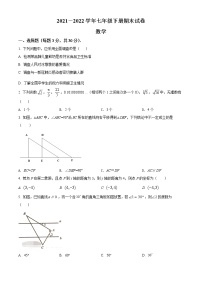 河南省河南师范大学附属中学2021-2022学年七年级下学期期末数学试题(word版含答案)