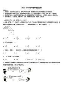 2021-2022学年四川省南充市西南石油院附属校中考数学模试卷含解析