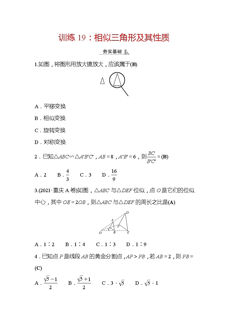 2022年浙江省中考数学复习训练19：相似三角形及其性质(含答案)01