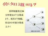 北师大版七年级上册数学课件  2.9.1乘方的意义