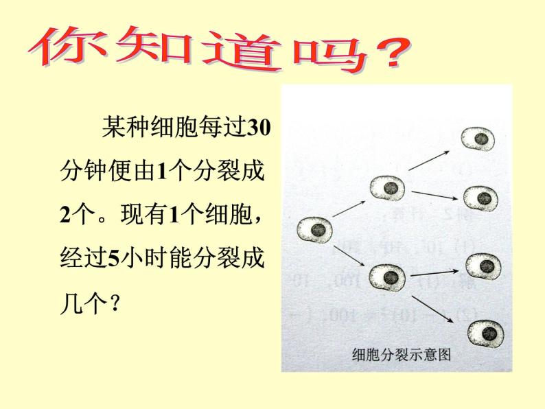 北师大版七年级上册数学课件  2.9.1乘方的意义03