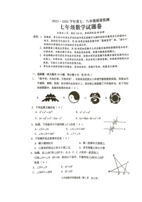 广东省揭阳市普宁市2021-2022学年七年级下学期期末质量监测数学试题（无答案）