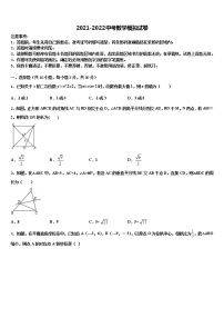 2022届河北省衡水市八校中考冲刺卷数学试题含解析