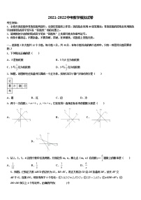 2022届河南洛阳伊川达标名校中考数学模拟预测题含解析