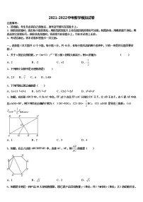 2022届湖北省丰溪镇中学中考数学全真模拟试题含解析