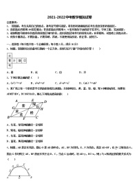 2022届黄埔区广附市级名校中考数学最后冲刺模拟试卷含解析