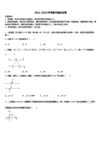 2022届湖南省邵阳市名校中考数学对点突破模拟试卷含解析