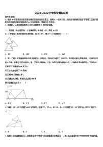 2022届湖南省长沙市南雅中学中考数学模拟预测题含解析