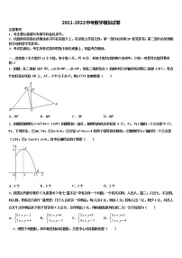 2022届湖南省郴州市临武县达标名校中考数学全真模拟试题含解析