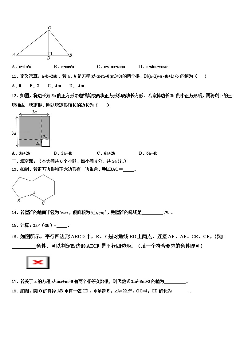 2022届湖南省郴州市临武县达标名校中考数学全真模拟试题含解析第3页