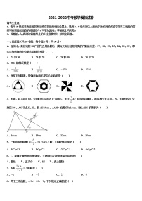 2022届江苏省南京市溧水区达标名校中考数学考试模拟冲刺卷含解析