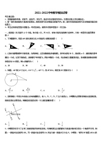 2022届辽宁省沈阳市沈北新区中考数学适应性模拟试题含解析