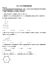 2022届江西省宜春市丰城市重点达标名校中考一模数学试题含解析