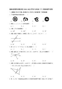 2022年湖南省邵阳市隆回县七年级（下）期末考试数学试卷（含答案）