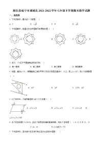 湖北省咸宁市通城县2021-2022学年七年级下学期期末考数学试卷（含详解）