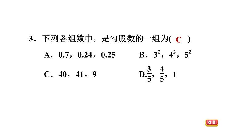 第一章勾股定理全章热门考点整合专训-【重难考点】2022-2023学年八年级数学上册单元复习考点一遍过（北师大版）（PPT+原卷版+解析版）08