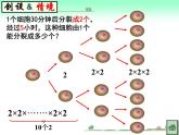 人教版七年级上册 有理数的乘方PPT 优质