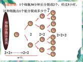 人教版七年级上册 有理数的乘方 课件