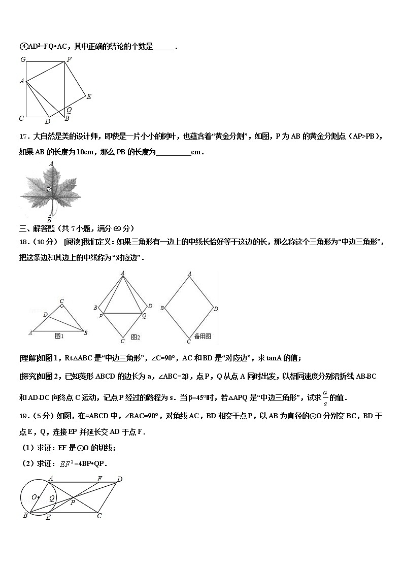2022届山东省费县梁邱一中重点达标名校中考一模数学试题含解析第3页