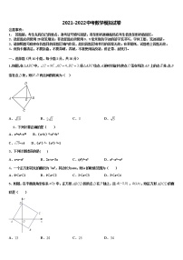 2022届山东省青岛市集团校中考数学最后冲刺模拟试卷含解析