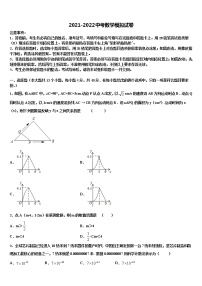 2022届山东省临沂市沂县中考适应性考试数学试题含解析