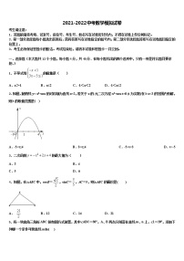 2022届山东省乐陵市开元中学中考数学对点突破模拟试卷含解析