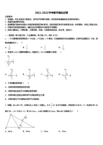 2022届山东省济南市钢城区实验校中考数学押题试卷含解析