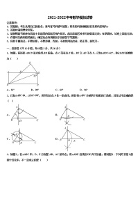 2022届内蒙古鄂尔多斯康巴什新区达标名校中考数学仿真试卷含解析