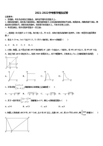 2022届宁夏省银川市重点名校中考数学模拟预测试卷含解析