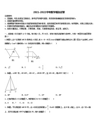 2022届内蒙古自治区兴安盟乌兰浩特市第十三中学中考试题猜想数学试卷含解析