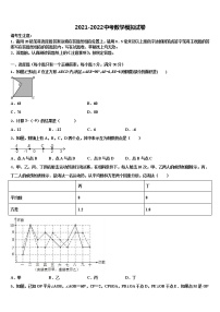 2022年安徽省合肥二中学内地西藏班（校）中考数学押题试卷含解析