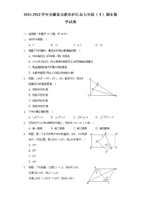 2021-2022学年安徽省合肥市庐江县七年级（下）期末数学试卷（含解析）