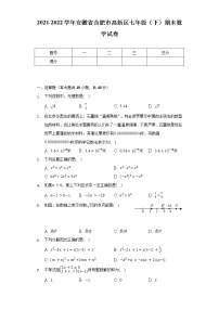 2021-2022学年安徽省合肥市高新区七年级（下）期末数学试卷（含解析）