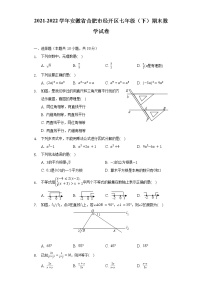 2021-2022学年安徽省合肥市经开区七年级（下）期末数学试卷（含解析）