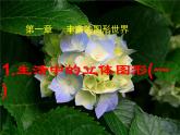北师大版 七年级上册 生活中的立体图形 课件