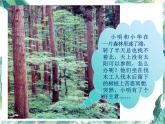 北师大版七年级上册 《截一个几何体》 优质课件