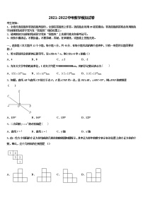 2022年福建省福州市福建师范大泉州附属中学中考数学对点突破模拟试卷含解析