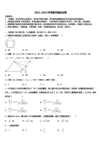 2022年广西桂平市中考数学仿真试卷含解析