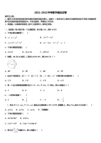 2022年广东省湛江市第二十二中学中考数学全真模拟试题含解析
