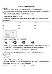 2022年河北省邯郸市锦玉中学中考数学对点突破模拟试卷含解析