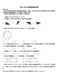 2022年贵州省六盘水市水城县文泰学校中考数学仿真试卷含解析