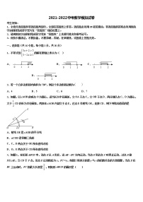 2022年河北省秦皇岛市市级名校中考数学仿真试卷含解析