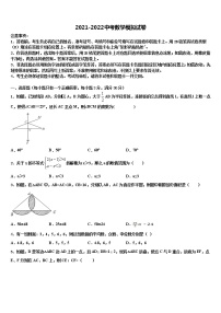 2022年黑龙江齐齐哈尔市泰来县中考数学对点突破模拟试卷含解析